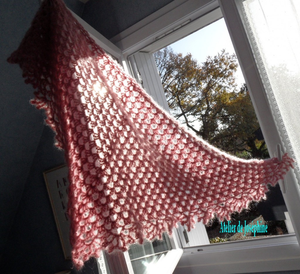 chalemohairsoierose1ok