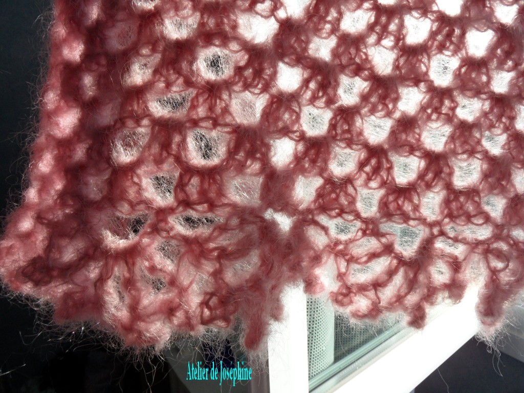 chalemohairsoierose2OK